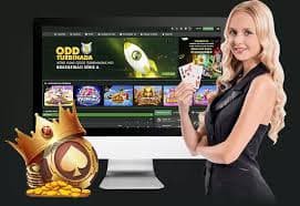 123321bet
